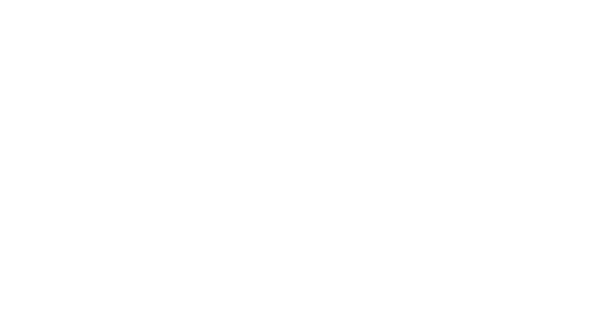 Nordic Black